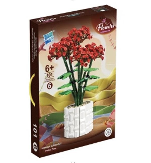 Armable Cundeamor Ipomoea Quamoclit Rojas Maceta Blanca N101 (6) Grande